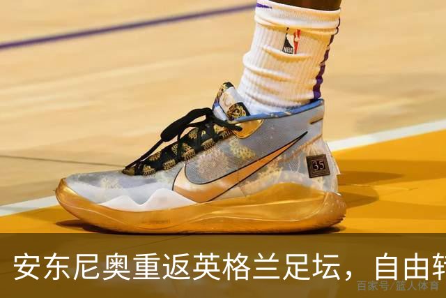 安东尼奥重返英格兰足坛，自由转会加盟沃特福德